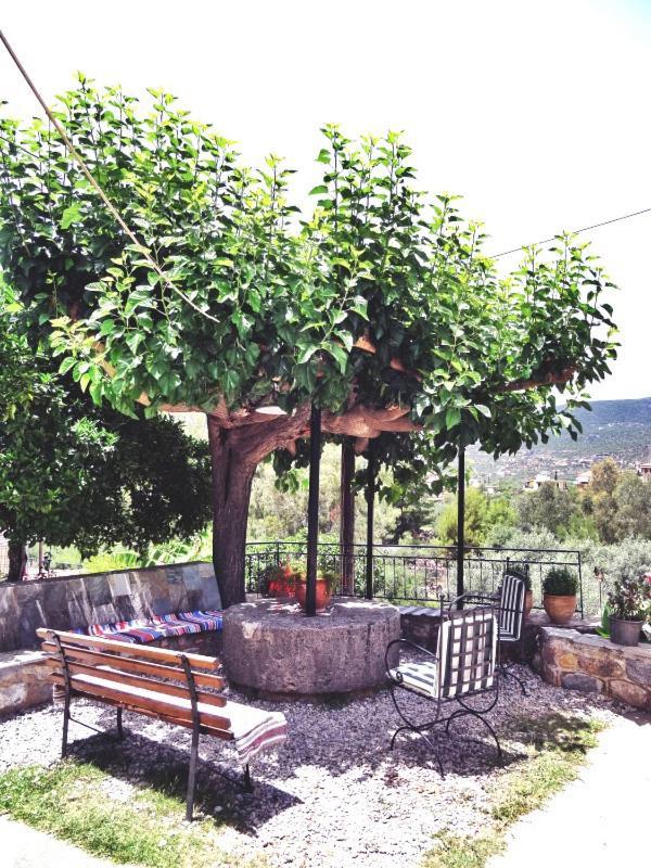 Kastro Aggeliki Daire Kardamyli Dış mekan fotoğraf